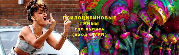 дурь Пестово