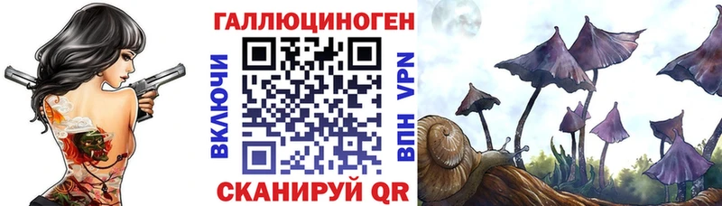 Галлюциногенные грибы Cubensis  купить наркоту  Карабаново 